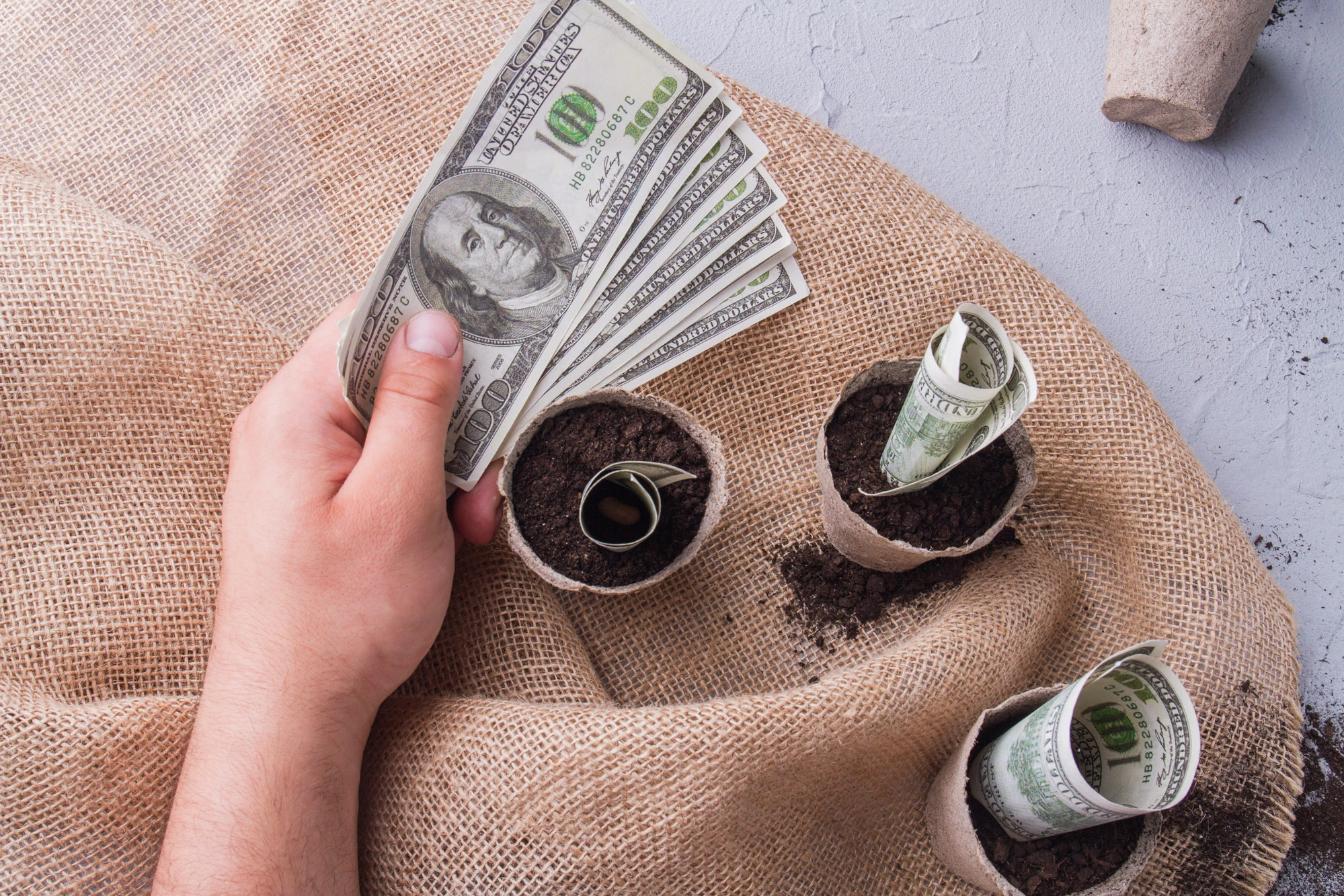 more people were scammed than ever in the past year by trying to expand their portfolio and getting invested in fraudulent scams