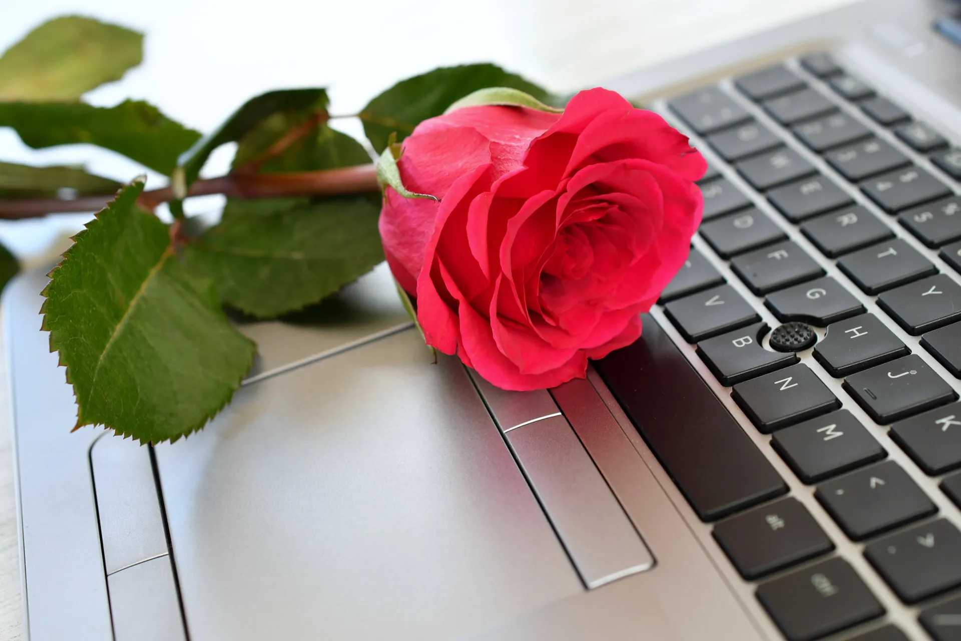 dating profile that romance scam pay taxes for more money