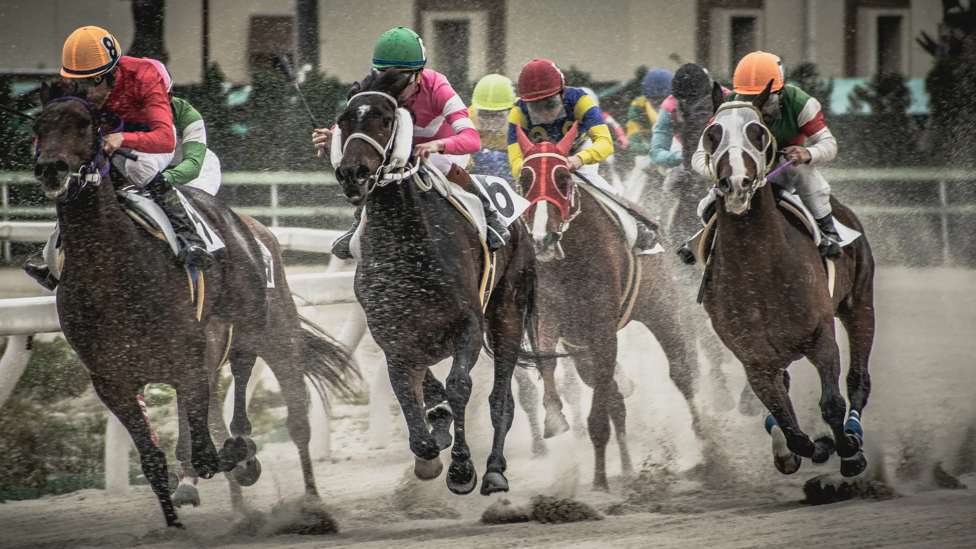 The betting syndicate used insider information to make a massive profit on their bets.
