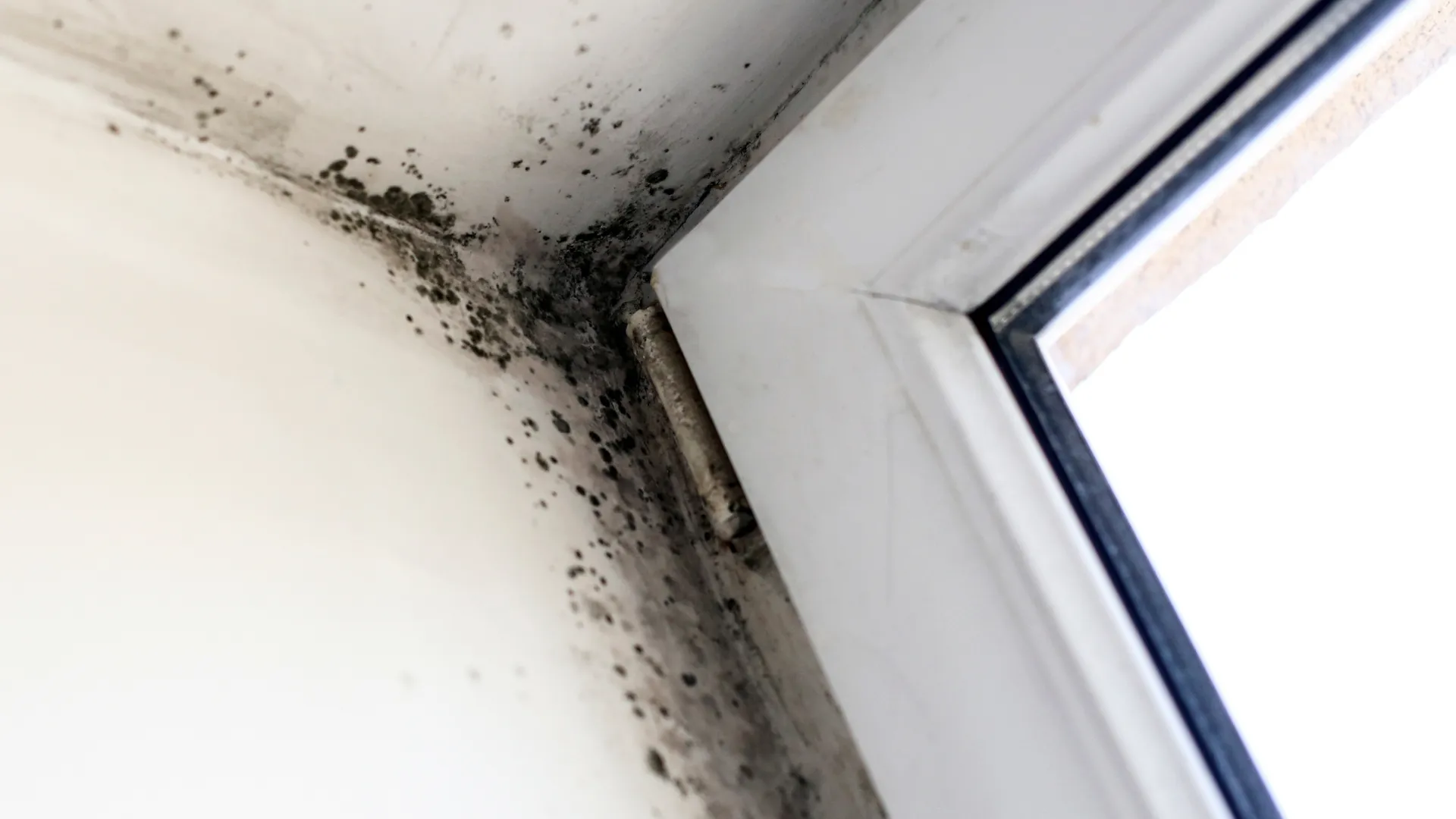 government energy efficiency grant